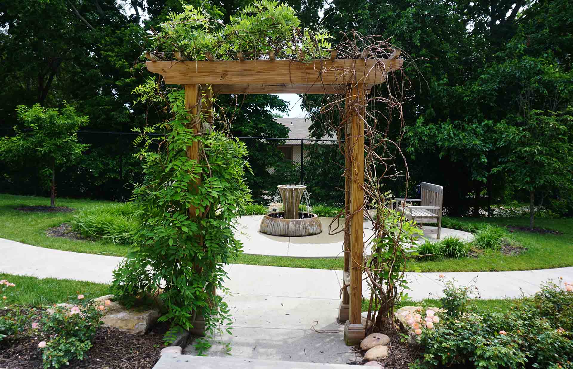 Entryway to garden covered in vines